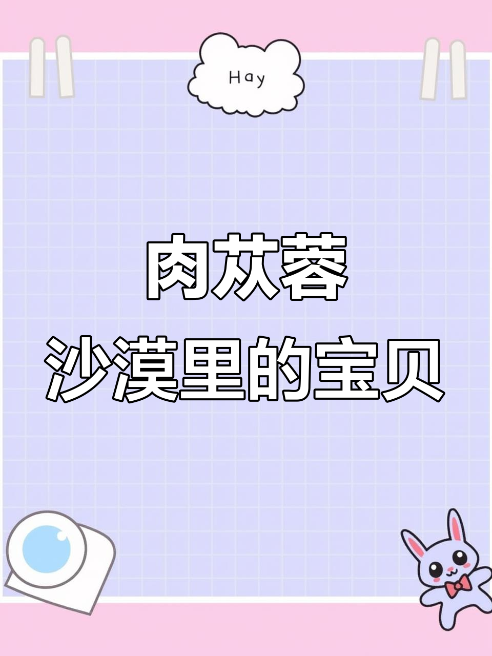 沙漠中的“黄金”肉苁蓉，生长缓慢且珍贵