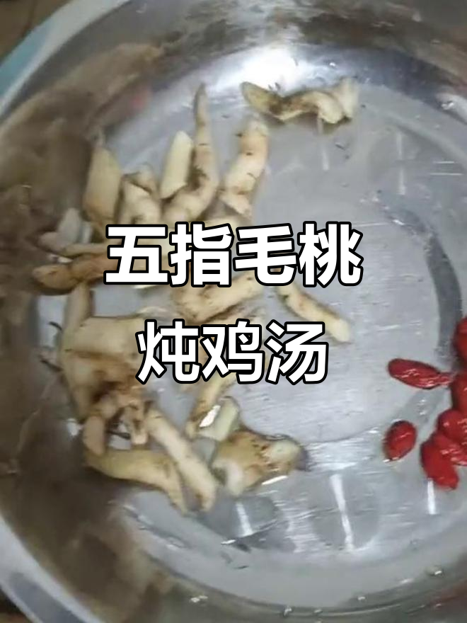 黄花倒水莲、五指毛桃与灵芝炖老鸡,滋补汤料全解析