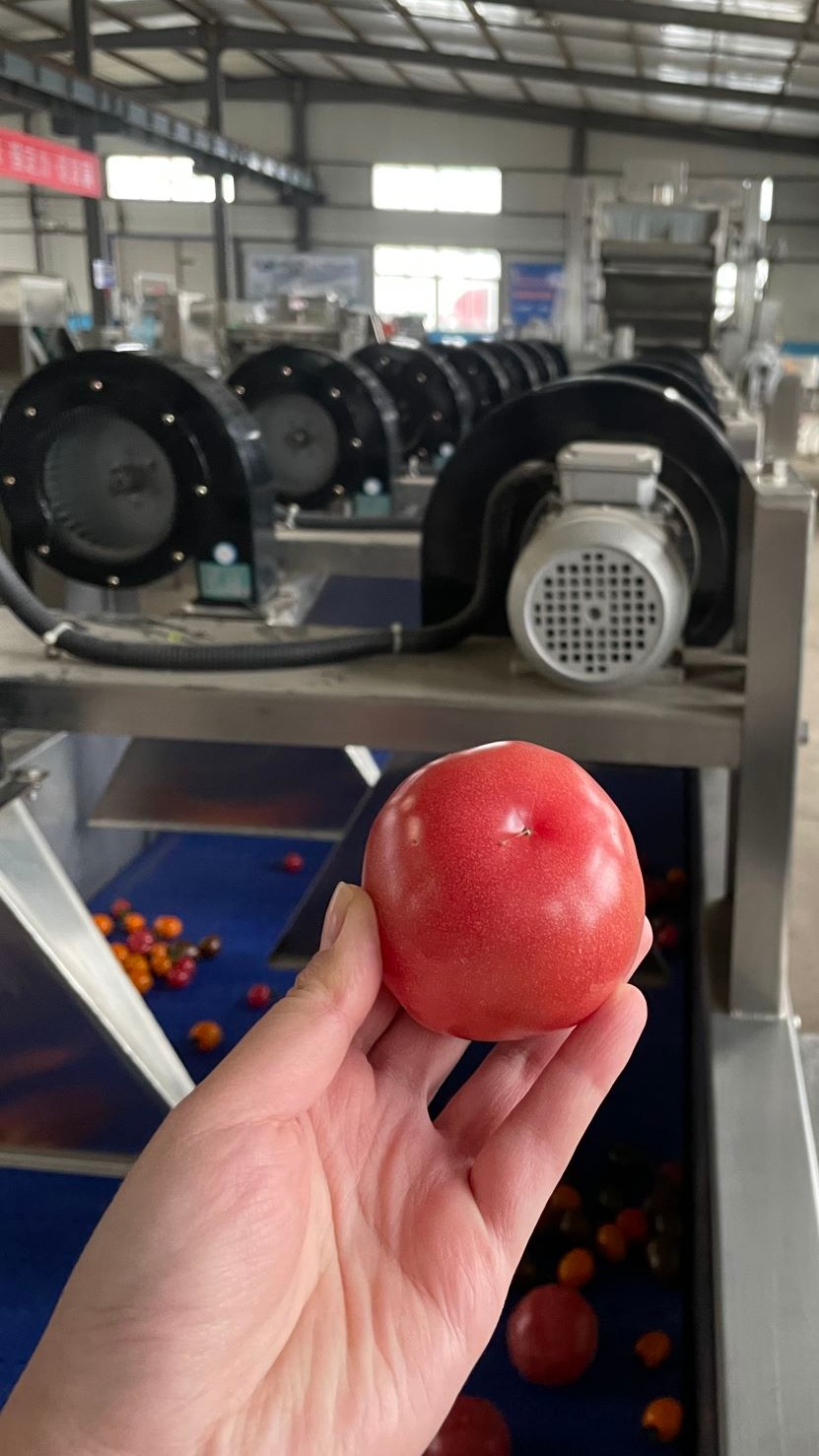 玉米风干机 果蔬风干机 包装袋风干机