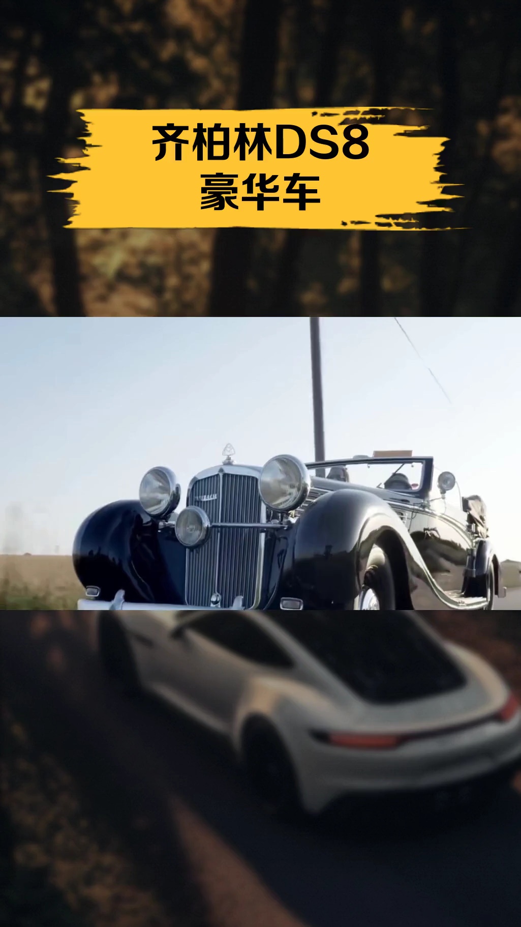齐柏林DS8豪华车