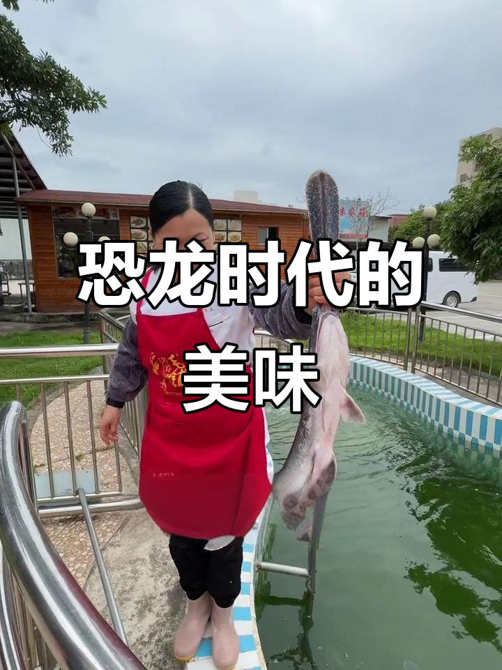 鸭嘴鱼,恐龙时代的珍馐美味,三水农庄独家呈现!