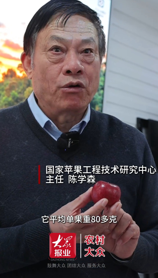 花青苷含量实现0到1的突破!跟着镜头看红肉苹果“美红7号”→