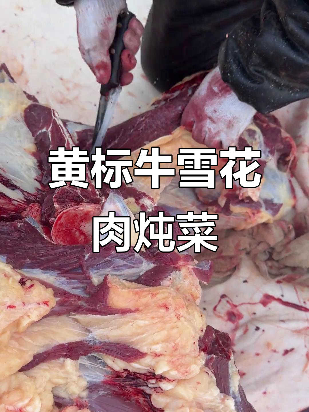 内蒙古黄标牛前腿,雪花牛肉炖土豆萝卜,草原味道满满