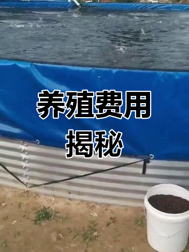圆桶与池塘养殖成本相当,增氧机电费是共同开销