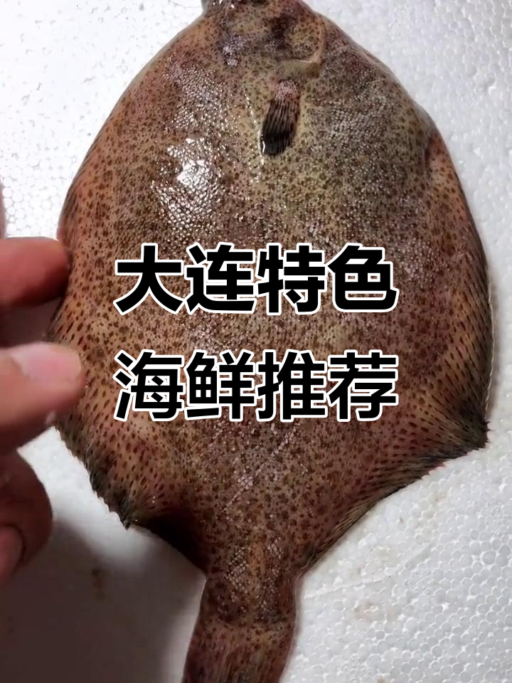 大连海鲜大揭秘:变女、花手绢儿和八角肉,超美味!
