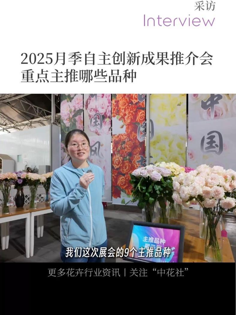 2025月季自主创新成果推介会重点主推哪些品种?斗南 月季 鲜切花 玫瑰种植 育种人