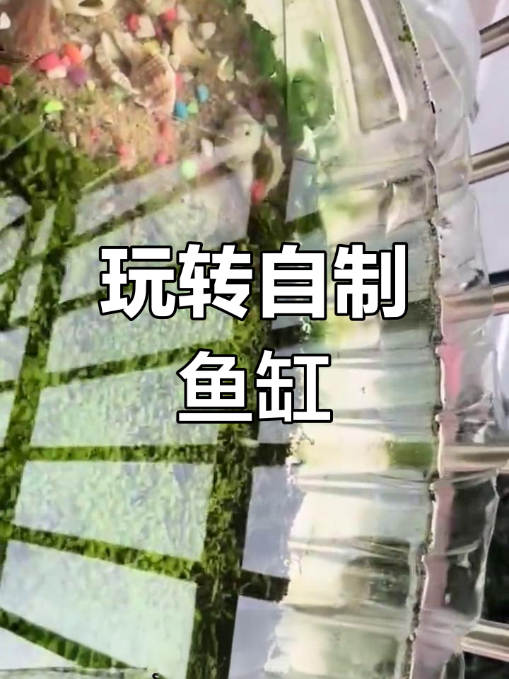 自制鱼缸,水草与小鱼的奇妙世界