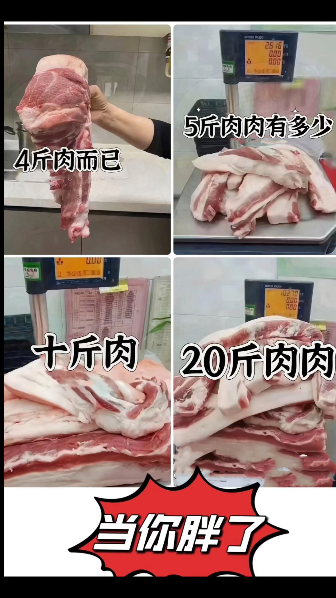 看看胖十斤有多少肉