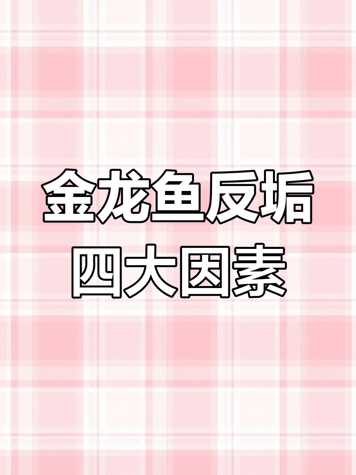 金龙鱼反垢原因分析:环境、光照和饲养技巧