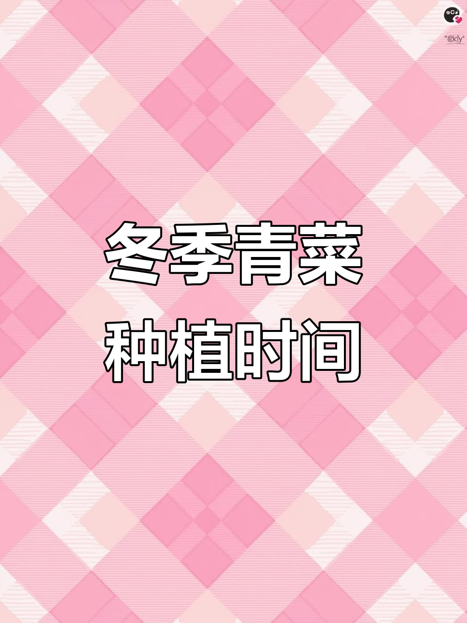 秋冬季节青菜种植技巧,掌握这些让你吃到新鲜美味大白菜