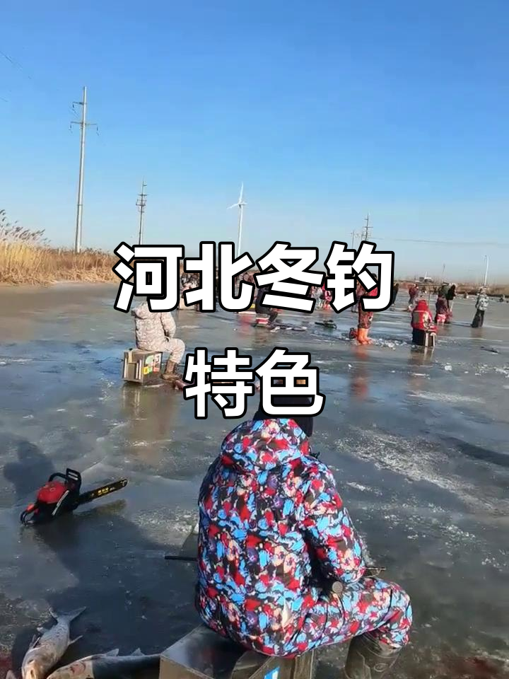 河北冰上锚鱼,冬季钓鱼新玩法