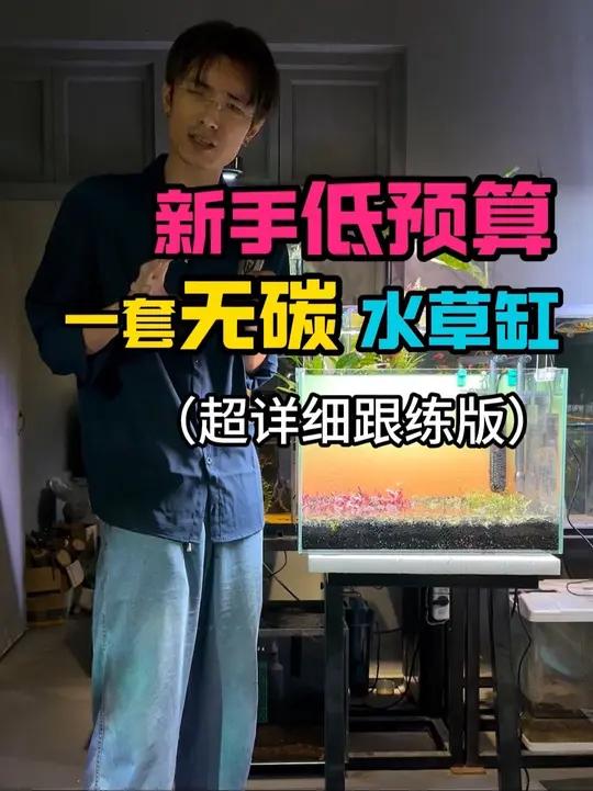 无二氧化碳50cm水草缸教程,配置价格清单 水草缸造景入门基础开缸教程必买清单