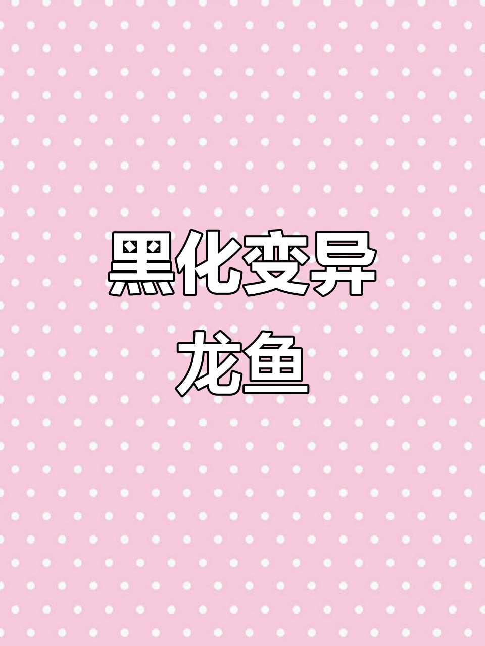 稀有黑化龙鱼,神秘变异品种揭秘