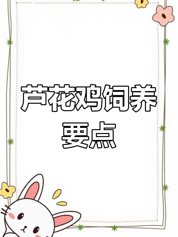 芦花鸡养殖技巧:抗寒能力强,适合散养管理