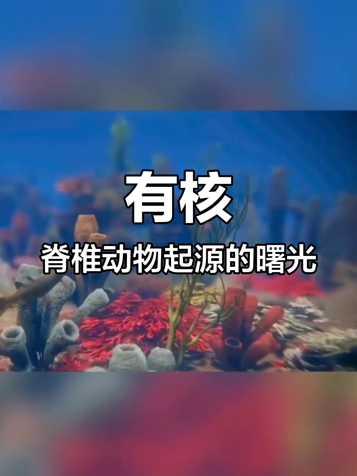 甲胄鱼揭秘:从管道到有颌脊椎动物的进化之路