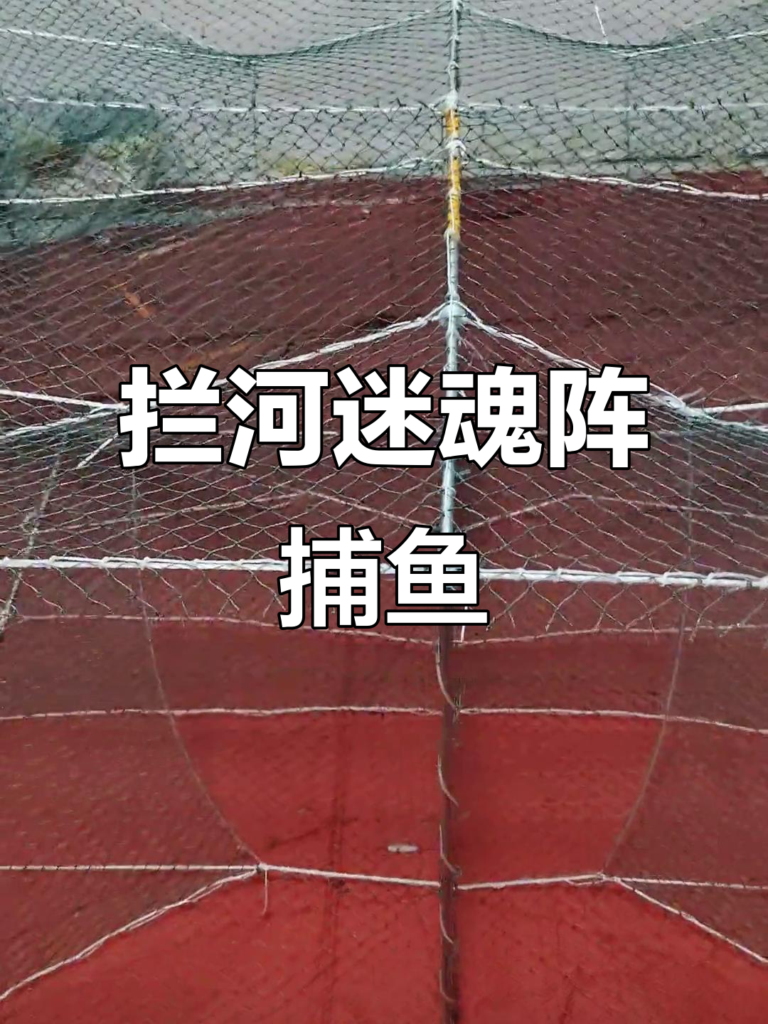 蓝河方框网巧妙布局,顺水鱼一网打尽