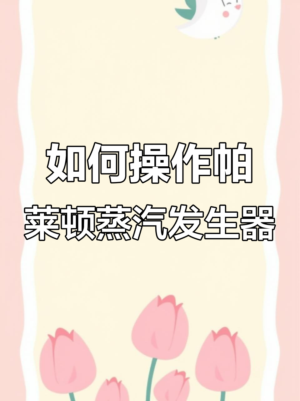 智能蒸汽发生器操作指南,轻松上手