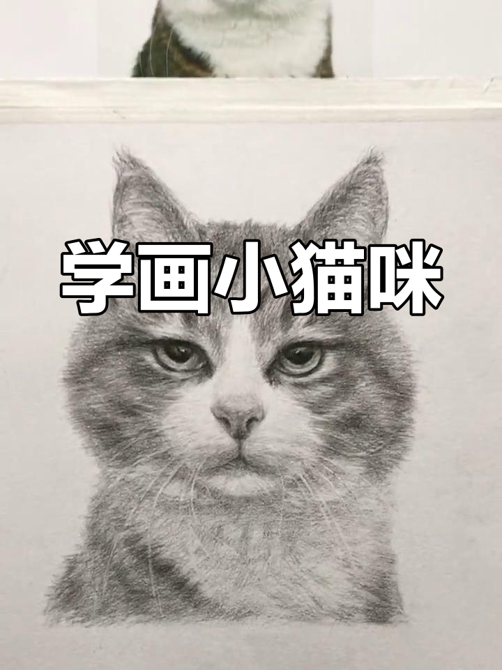 素描猫咪技巧解析