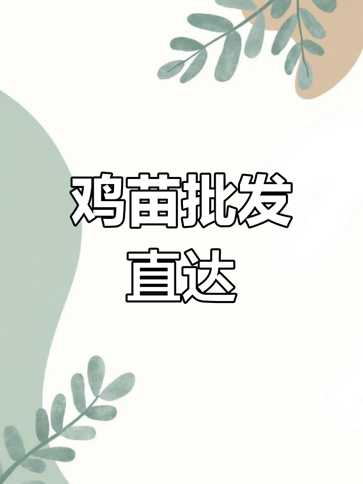 广州鸡苗批发,优质供应,厂家直供,孵化服务一应俱全