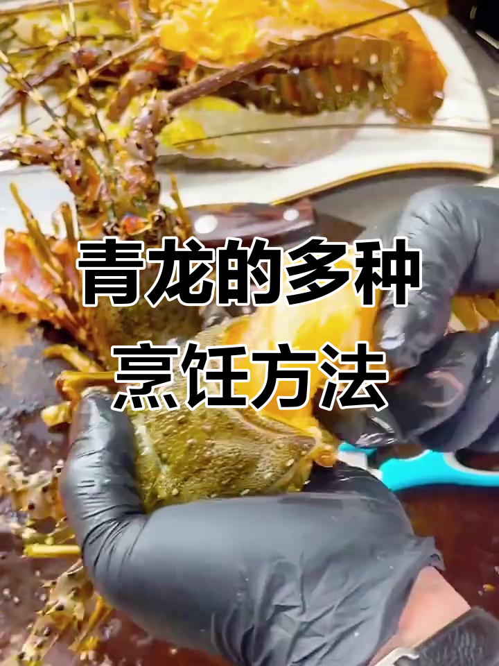 青龙菜的多重做法,教你轻松做出美味佳肴