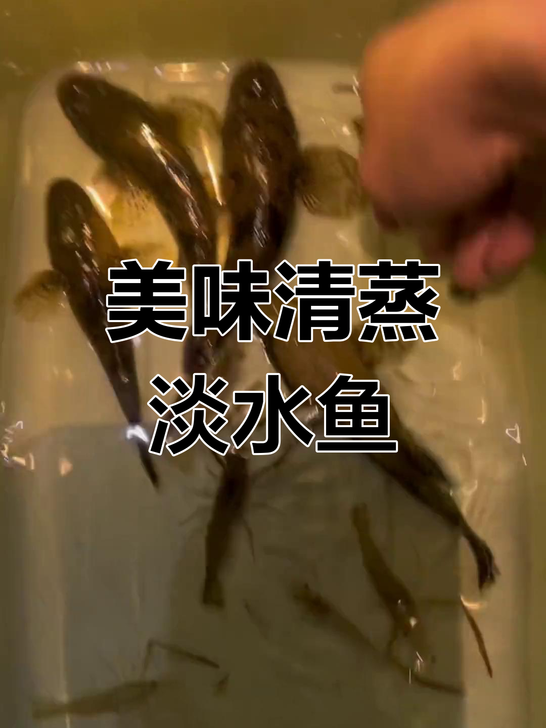 清蒸笋壳鱼,鲜美肉质尝