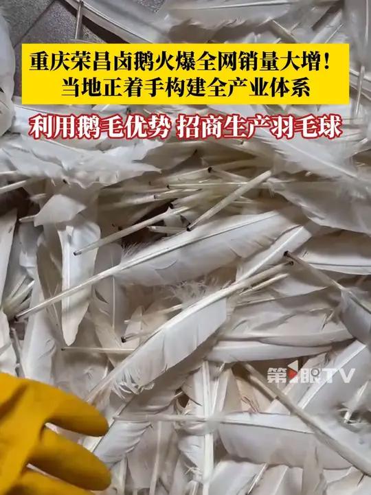 重庆荣昌卤鹅火爆全网销量大增,当地着手构建全产业体系。利用鹅毛优势,招商生产羽毛球