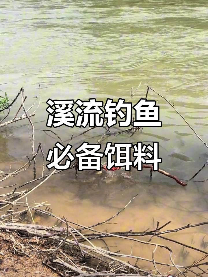 溪流钓鱼技巧大揭秘,选对饵料轻松钓获
