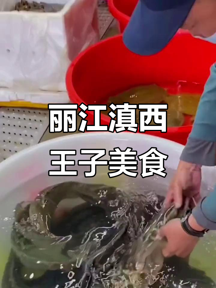 丽江古城滇西王子:酸辣鲜美雪山鱼,铜锅煮出健康美味