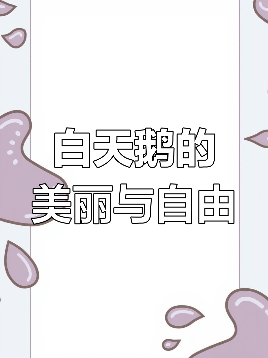 白天鹅自由飞翔,优雅展翅震撼心灵