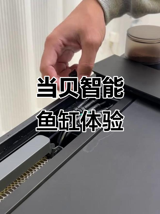 智能鱼缸真能解放双手?当贝AI鱼缸值得买吗