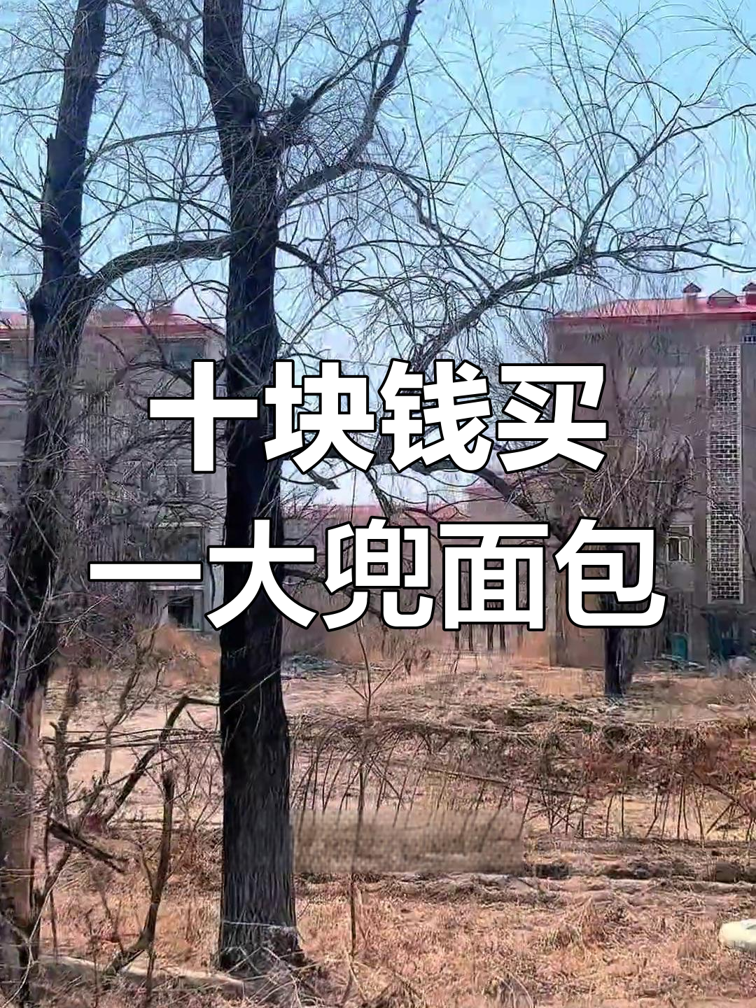 大庆美食乐总厂10元边角料面包,超值美味不容错过