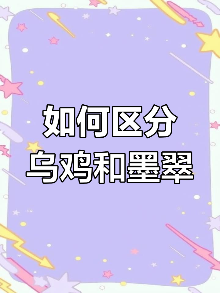 乌鸡翡翠与墨翠的区别解析