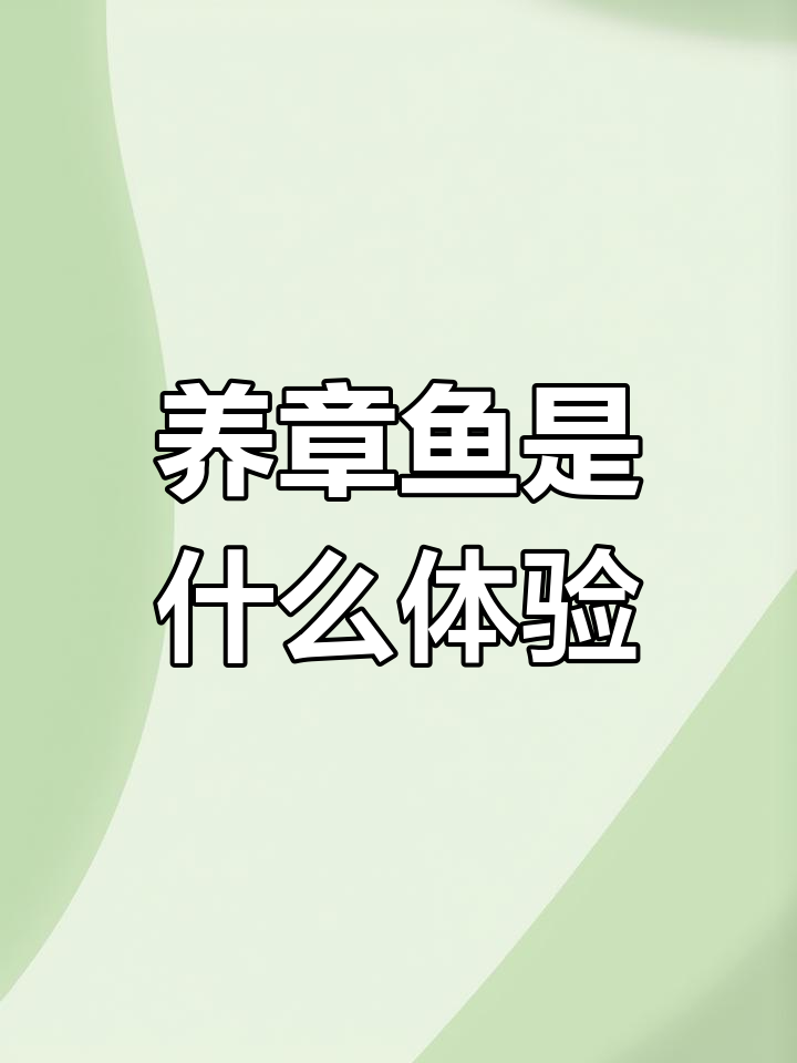 章鱼也能当宠物?看看养章鱼的乐趣与挑战