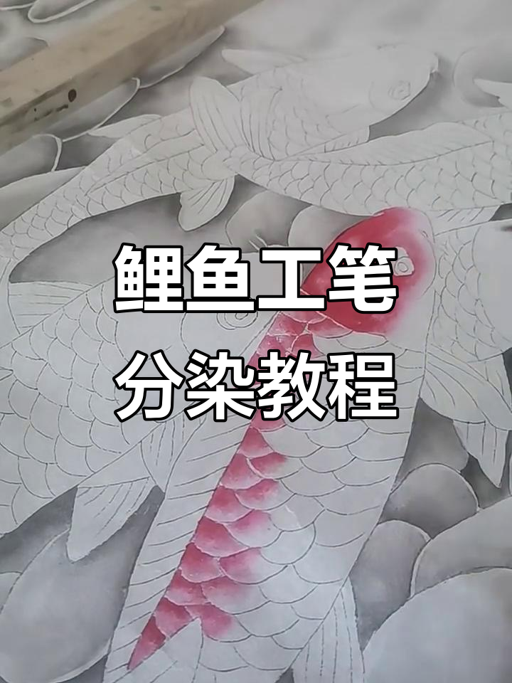 工笔画鱼鳞分染技巧，掌握鲤鱼的细腻画法