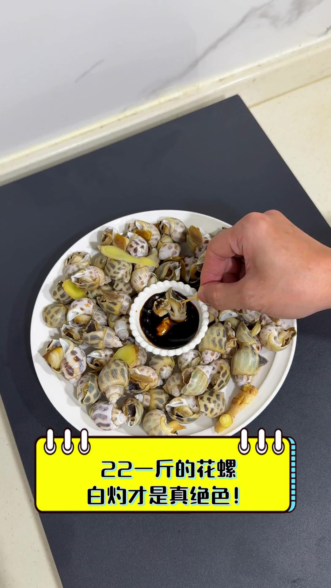 22一斤的花螺,白灼才是真绝色!
