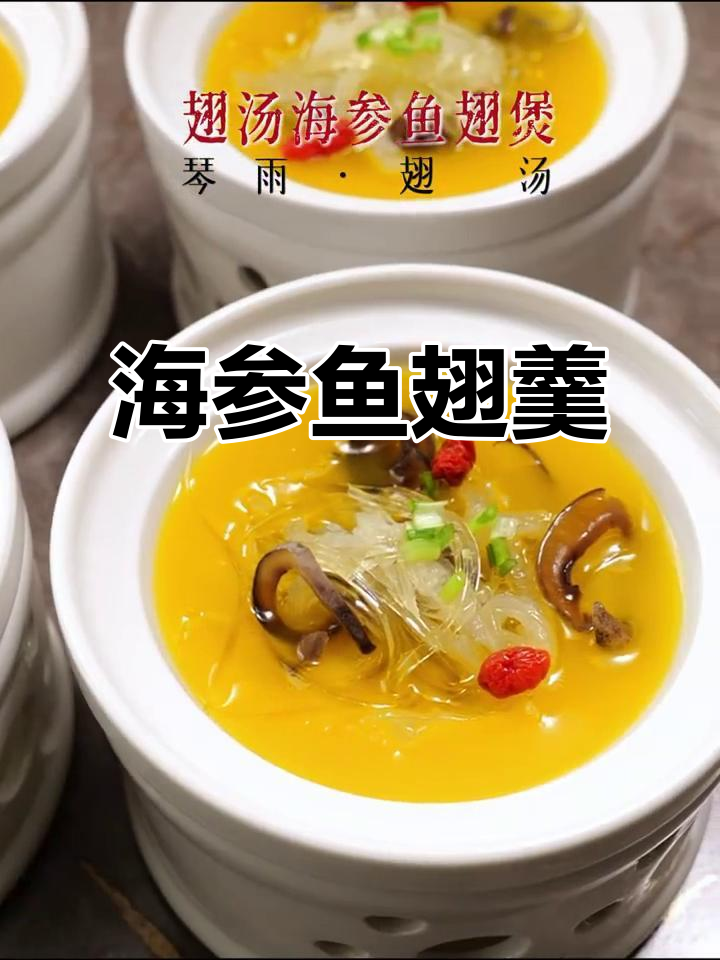 翅汤海参鱼翅羹，鲜美无比的奢华享受