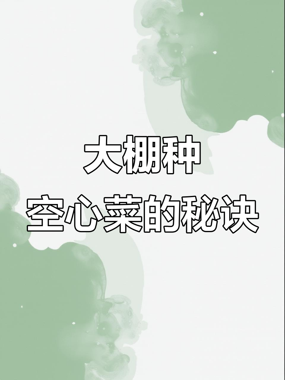 冬季大棚反季节空心菜种植技巧,温度控制是关键