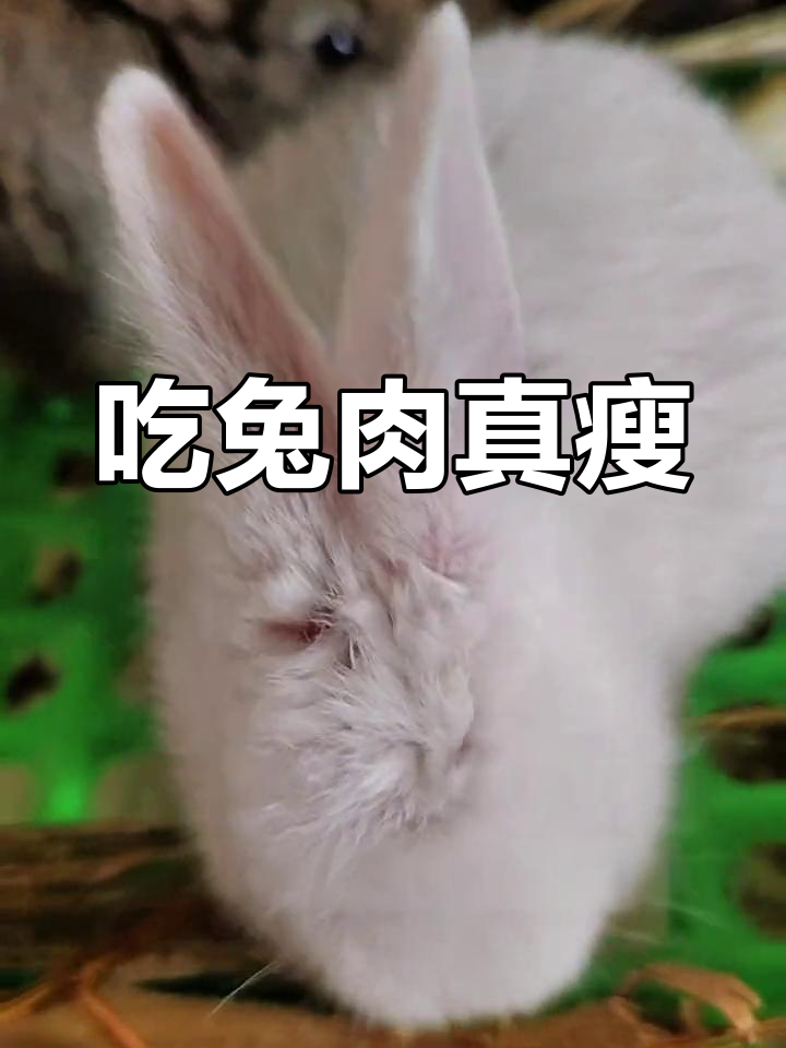 兔肉为何能助减肥?