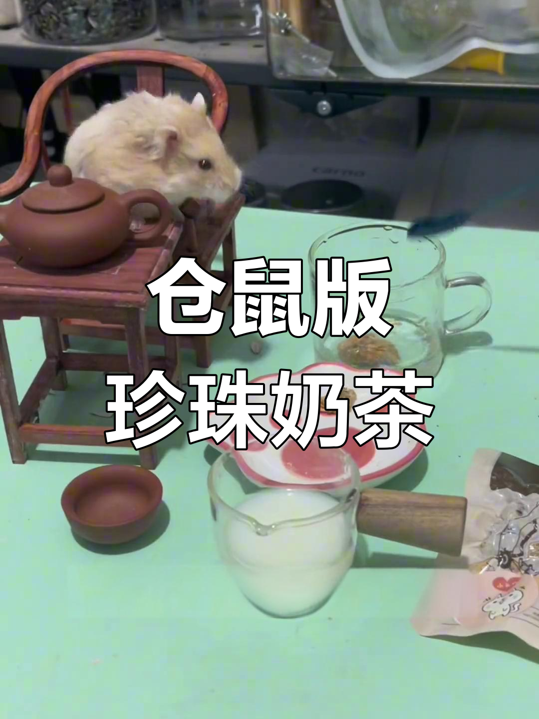 仓鼠珍珠奶茶大作战,第一口就喝到猪猪!