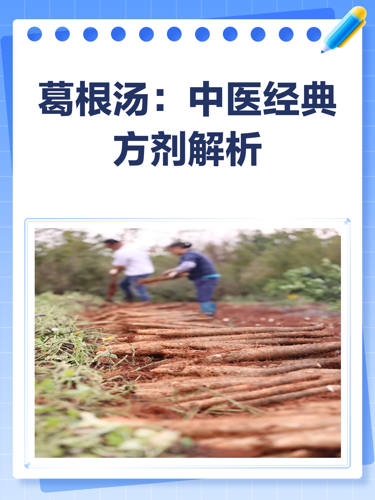 葛根汤全解析,风寒克星来袭!