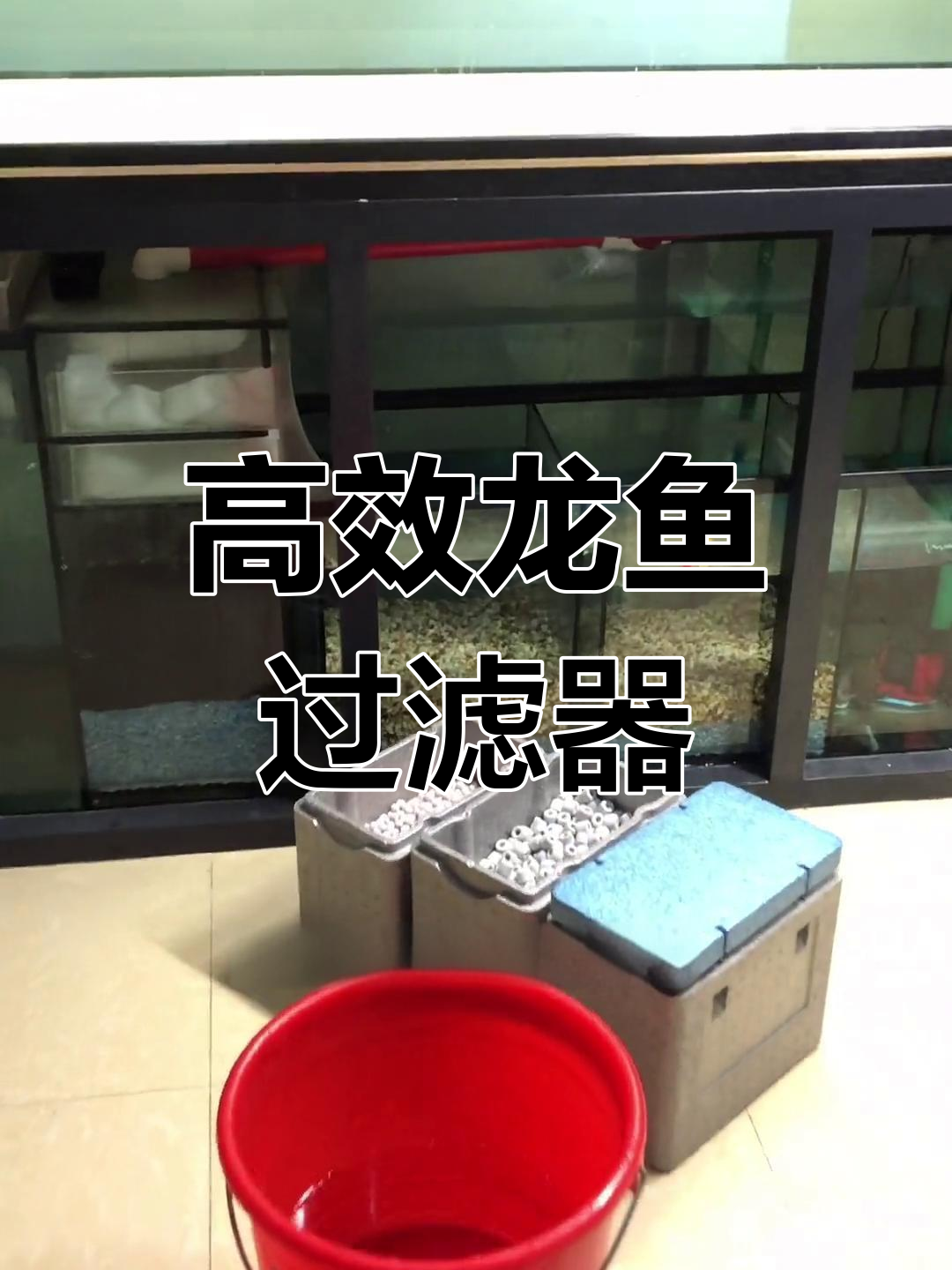 龙鱼缸过滤系统解析:滤材摆放技巧