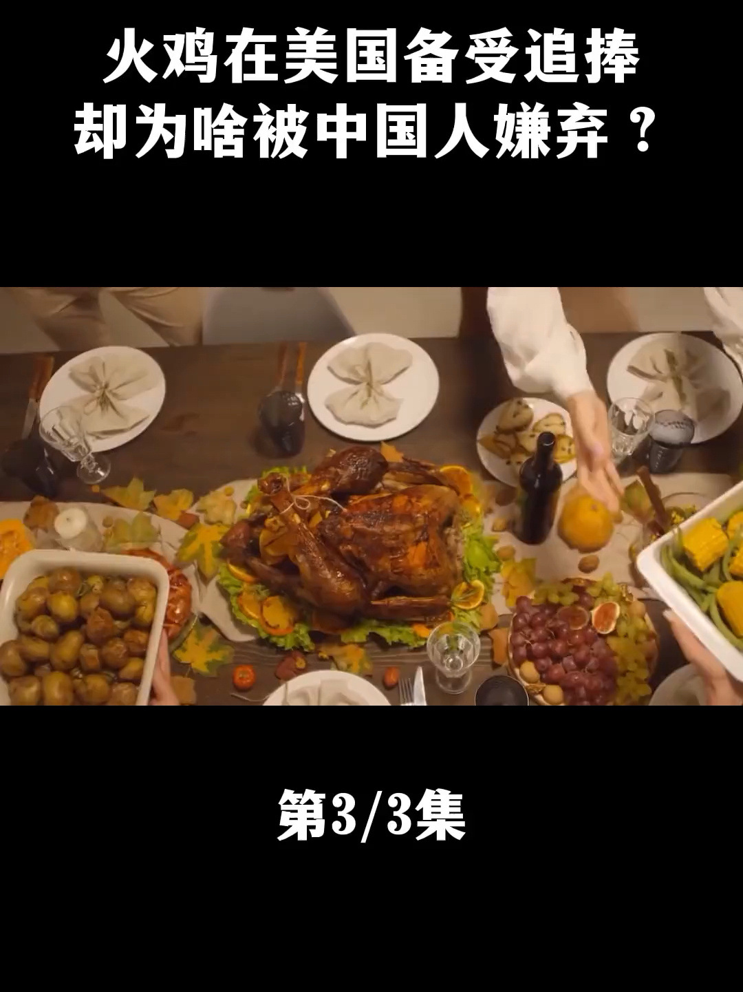 美国人爱吃的火鸡!