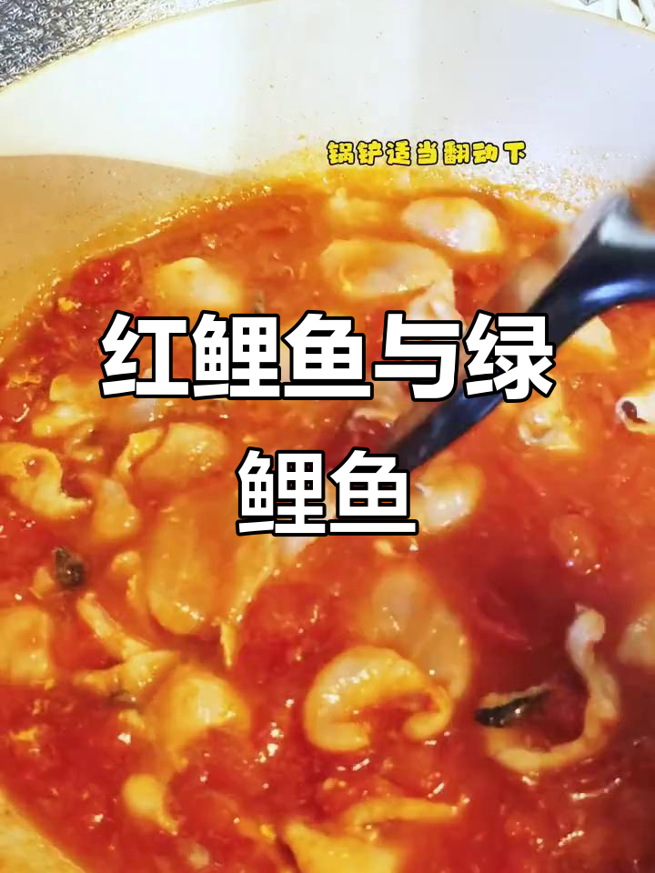红鲤鱼绿鲤鱼的奇妙冒险，笑到不行！