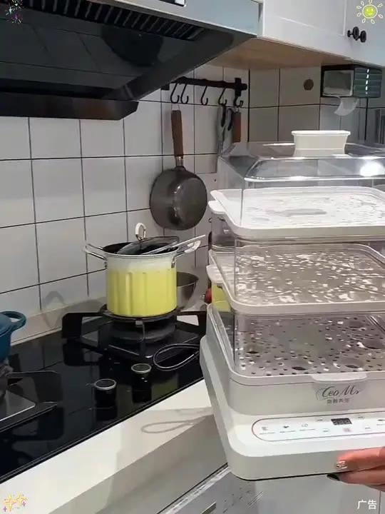 32L大容量电蒸锅!