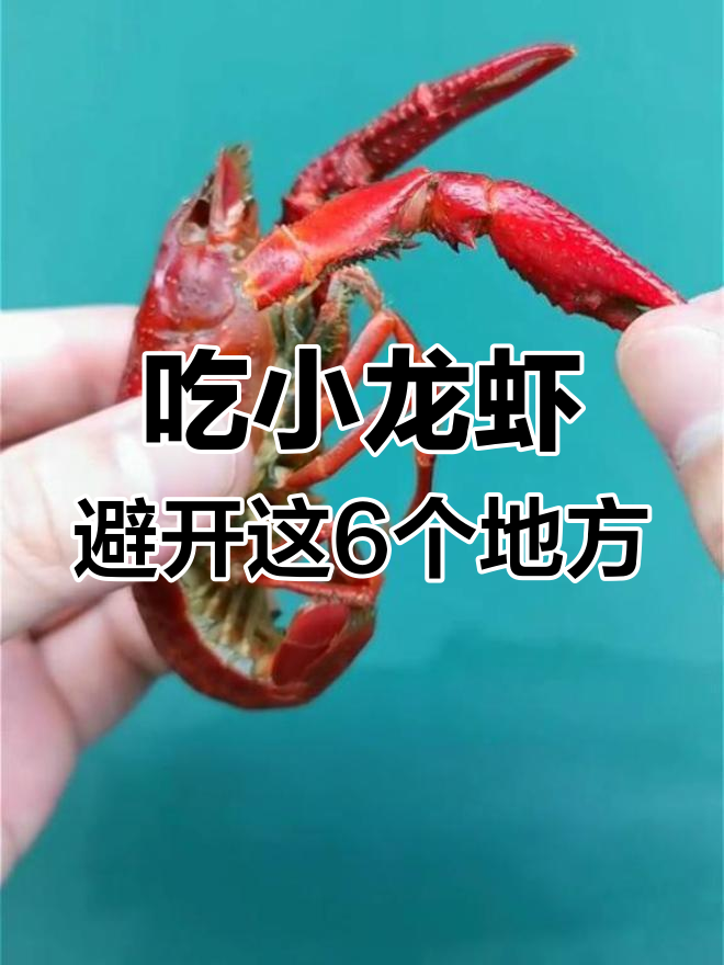 小龙虾这些部位不能吃,小心中毒