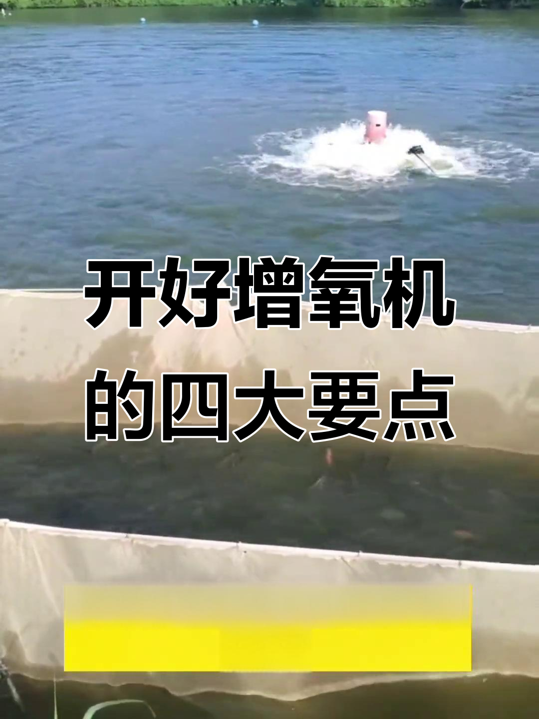 增氧机使用技巧：四个关键点助你养鱼更轻松