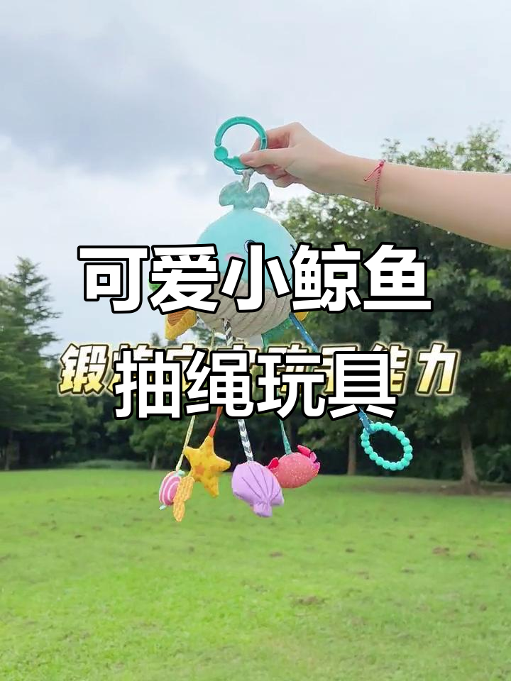 小鲸鱼拉绳玩具,宝宝玩得开心又满足破坏欲