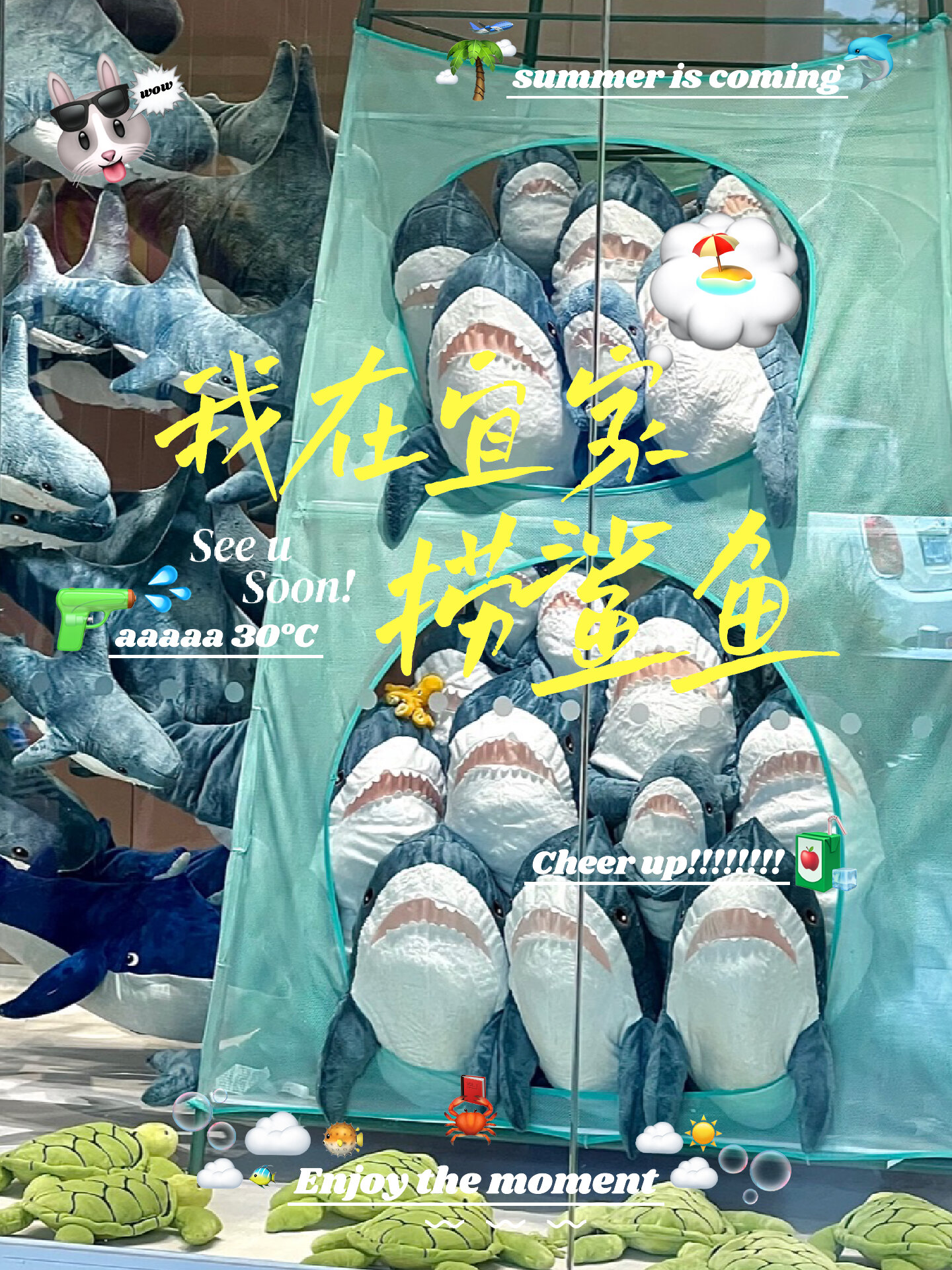 宜家鲨鱼到底怎么火的