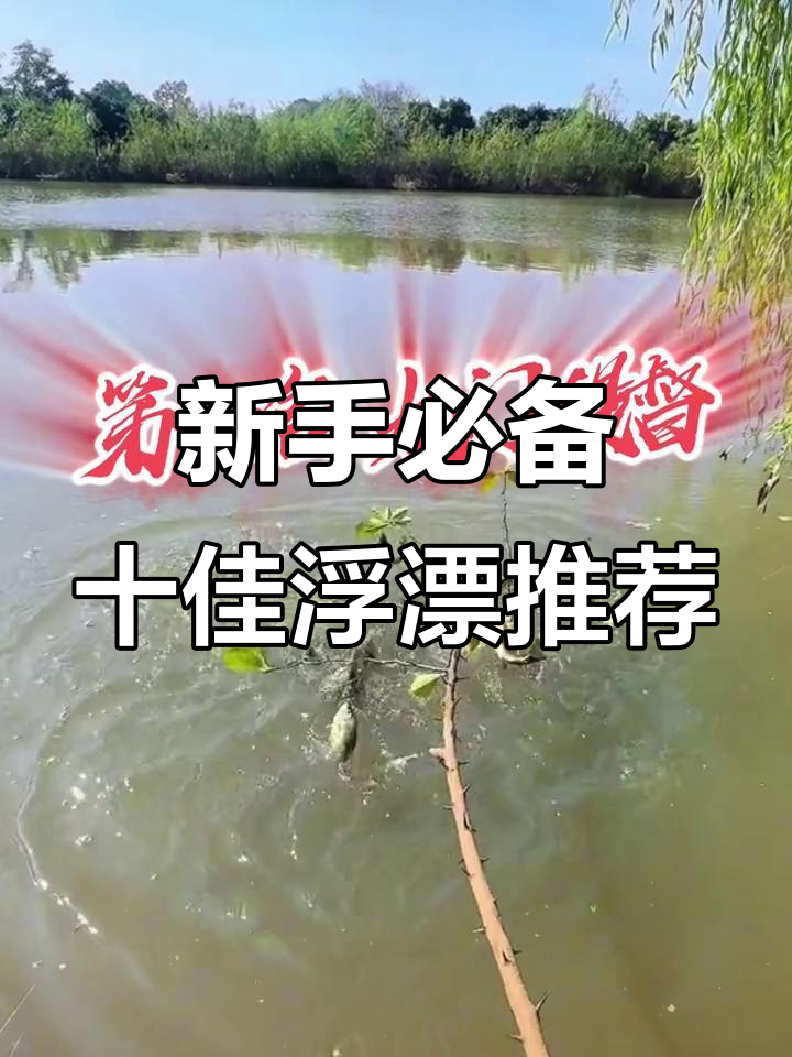 新手钓鱼必看!十大浮漂排行榜,选对不后悔