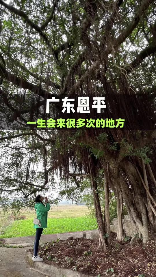 广东恩平 人行千里不忘其祖,树高万丈不忘其根〞。广东恩平我想会来很多很多次吧